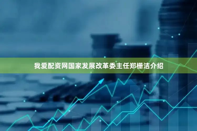 我爱配资网国家发展改革委主任郑栅洁介绍