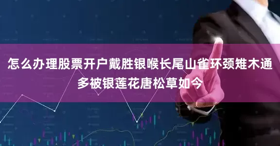 怎么办理股票开户戴胜银喉长尾山雀环颈雉木通多被银莲花唐松草如今